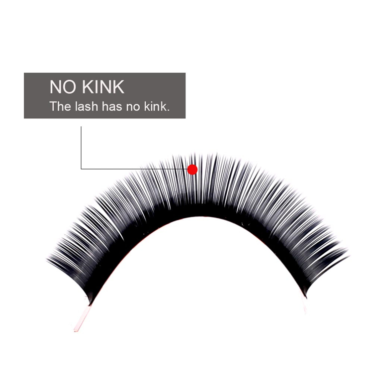 Lash no kink.jpg